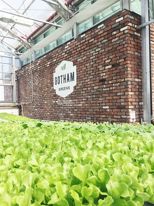 You Can Tour Gotham Greens' Indoor Rooftop Farm in Gowanus
